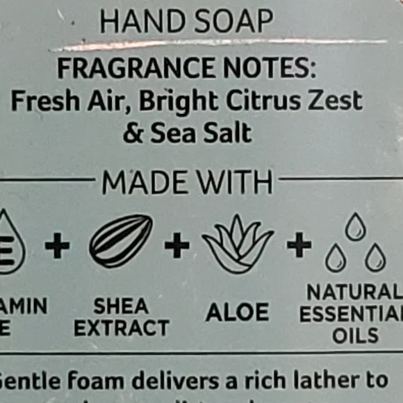 BBW FRESH AS A DAISY BRILLIANT BLUE SKY GENTLE FOAMING HAND SOAP X2 - Picture 2 of 2